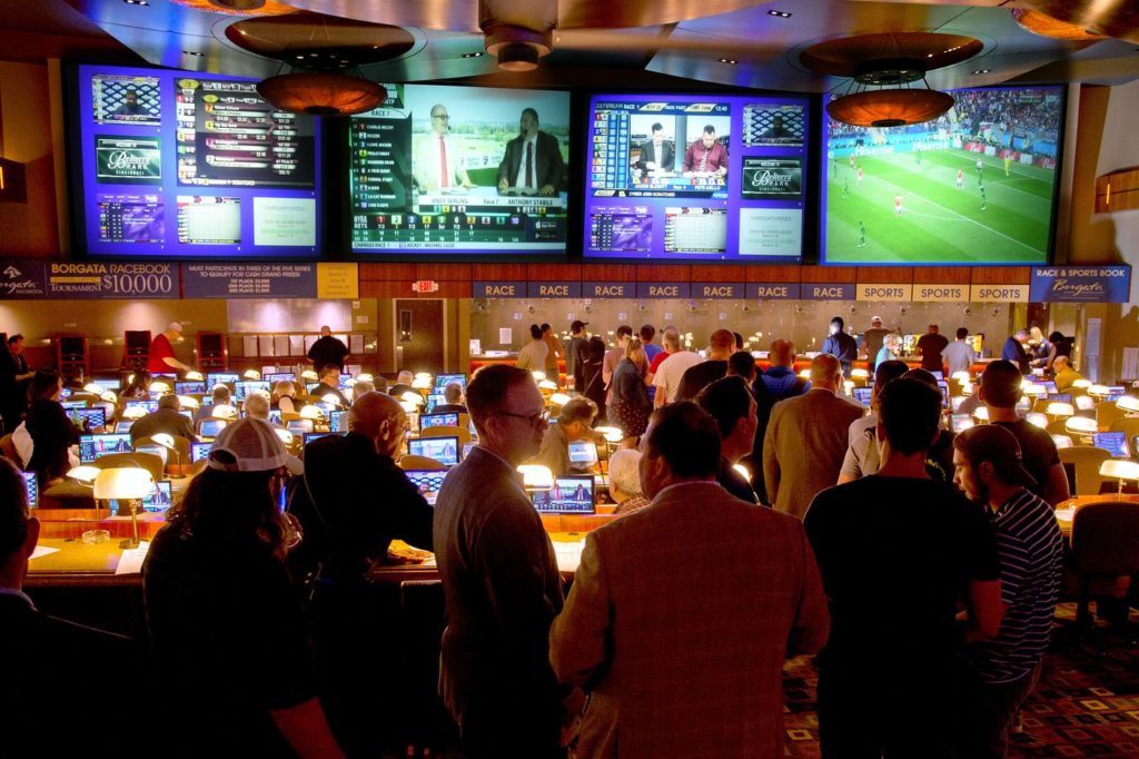 sports betting books